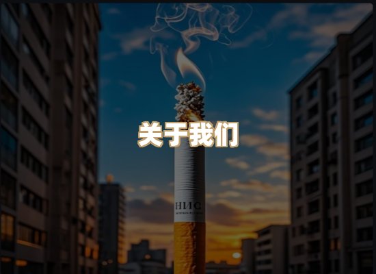 关于蓝帝网